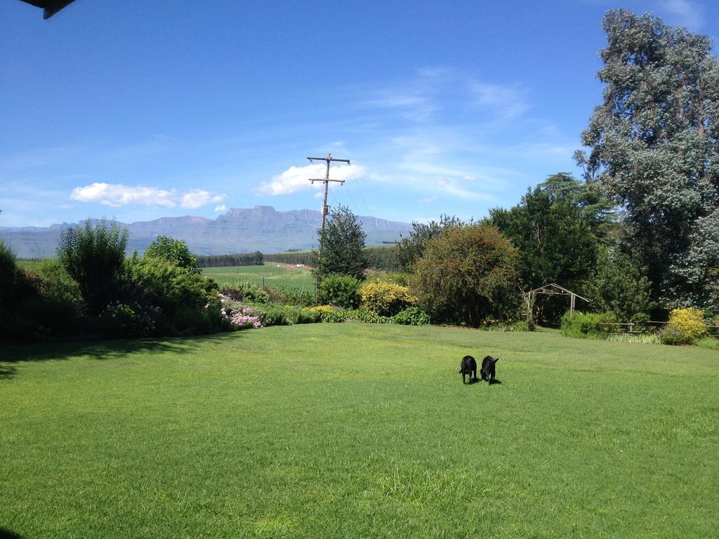 Little Acres Drakensberg Accommodation Champagne Valley Extérieur photo