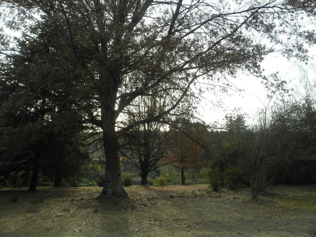 Little Acres Drakensberg Accommodation Champagne Valley Extérieur photo