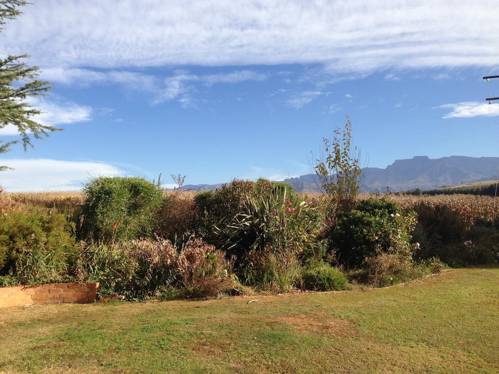 Little Acres Drakensberg Accommodation Champagne Valley Extérieur photo
